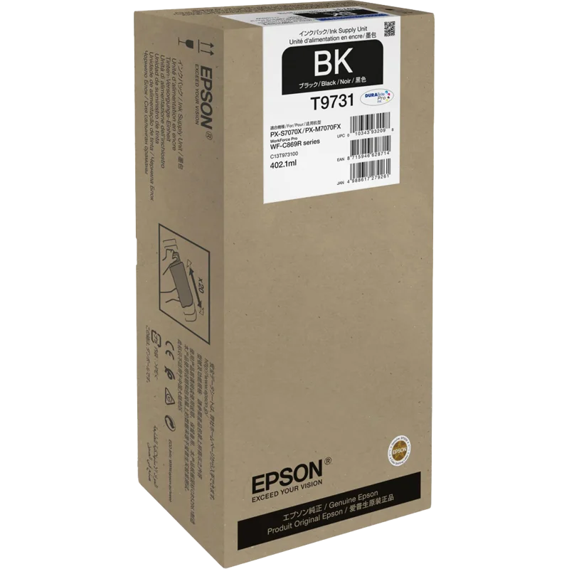 Epson T9731 (C13T97310N)
