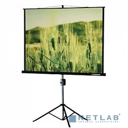 Lumien Master View LMV-100107 Экран на треноге (153х203), рабочая область (147х197) 4:3 напольный рулонный