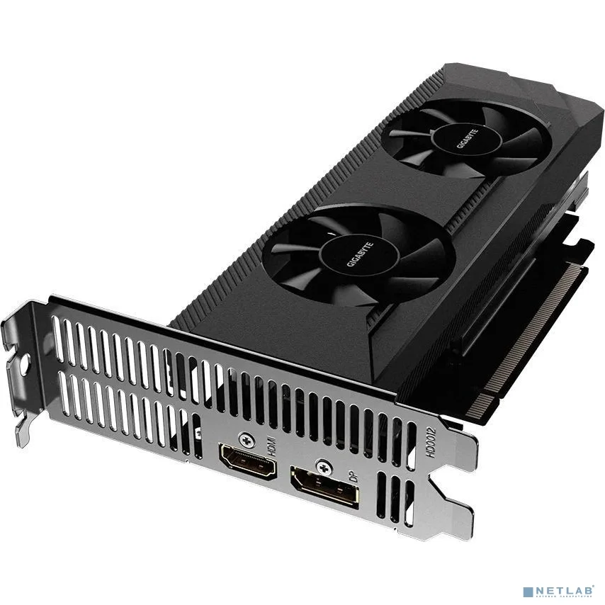 Gigabyte GV-R64D6-4GL