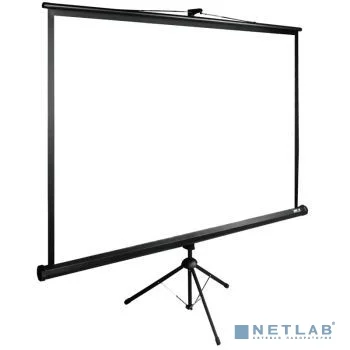 Экран Cactus TriExpert CS-PSTE-220x165-BK 165x220 см 4:3 напольный рулонный