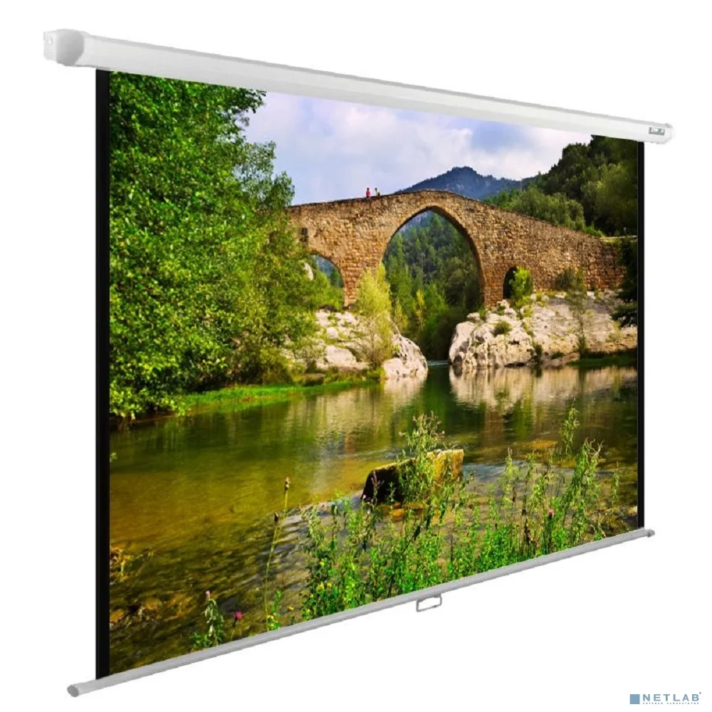 Экран Cactus WallExpert CS-PSWE-220x165-WT 220x165 см 1:1 настенно-потолочный рулонный белый
