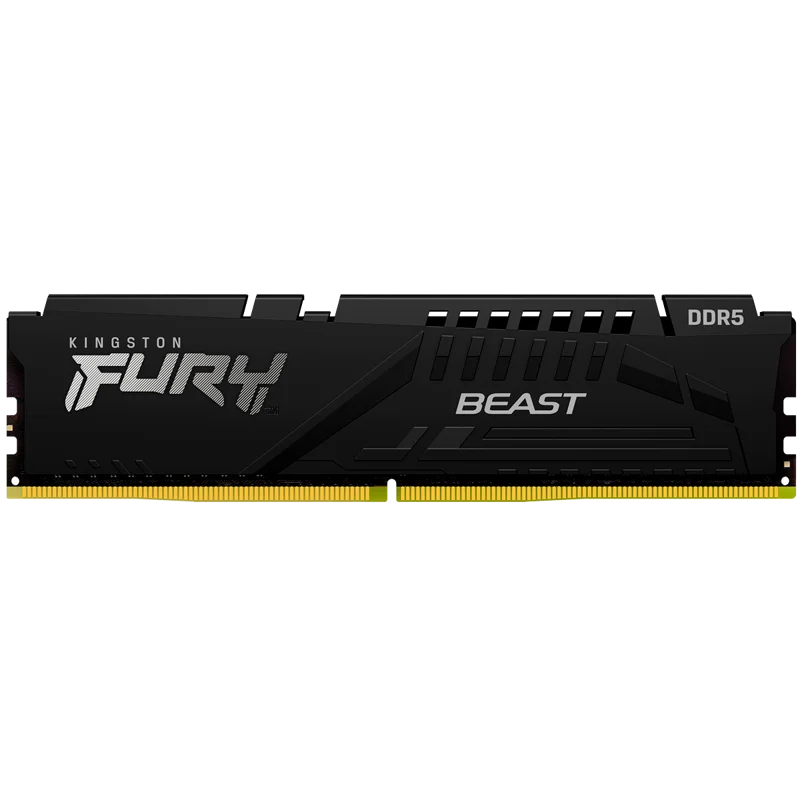Kingston FURY Beast Black EXPO