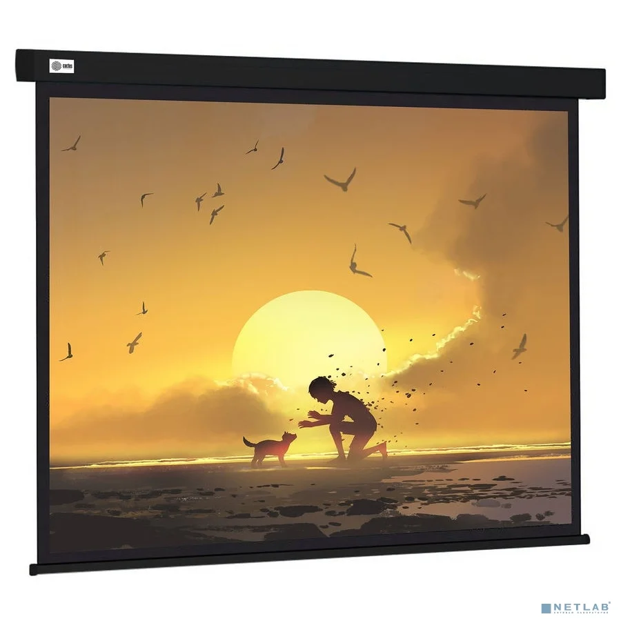 Экран Cactus Wallscreen CS-PSW-150X150-BK 150х150см 1:1 настенно-потолочный рулонный черный
