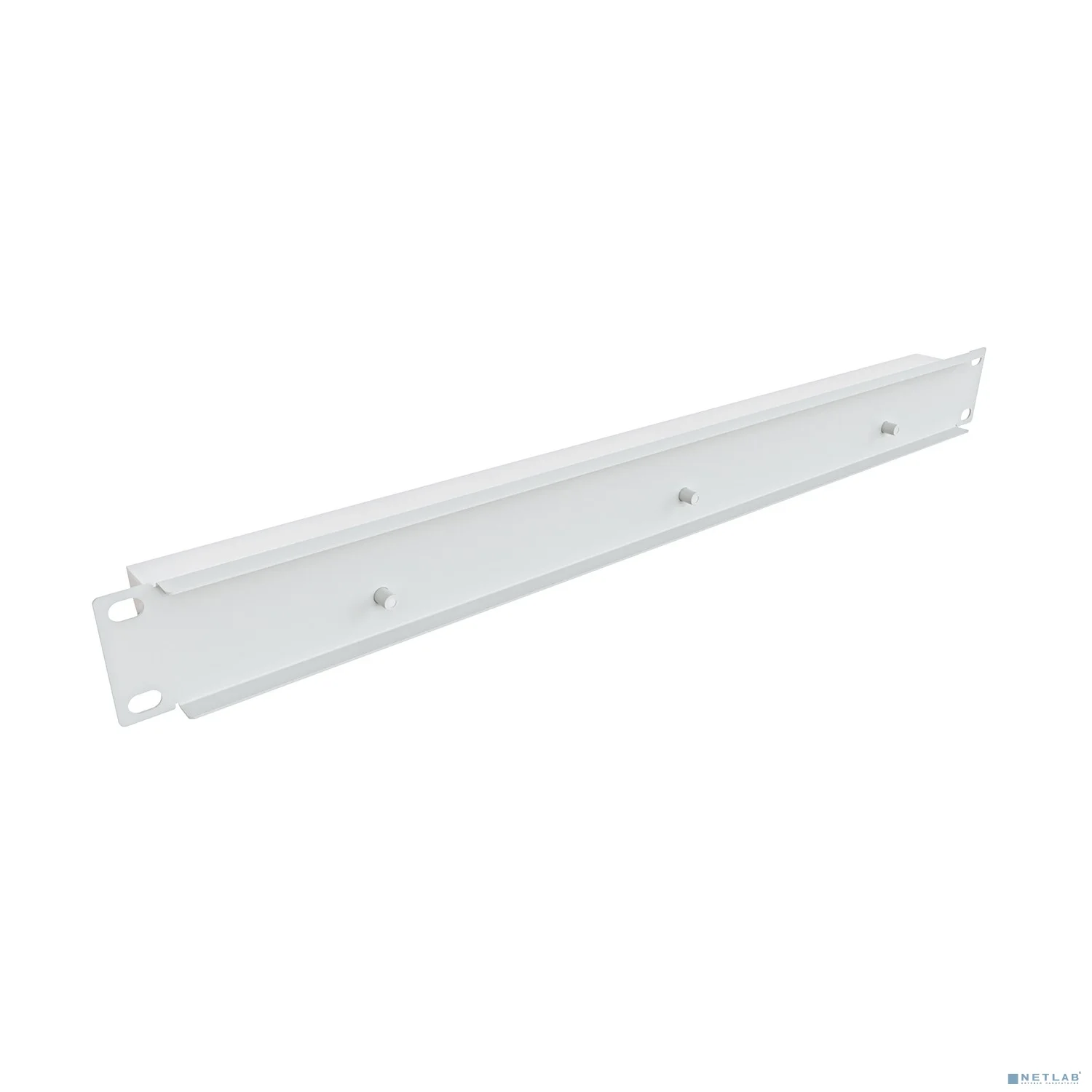 NTSS Панель осветительная NTSS, светодиодная (LED), крепление 19 1U, 220V, кабель 1.5м, немецкий стандарт, серый RAL 7035 NTSS-LU-1U-LED