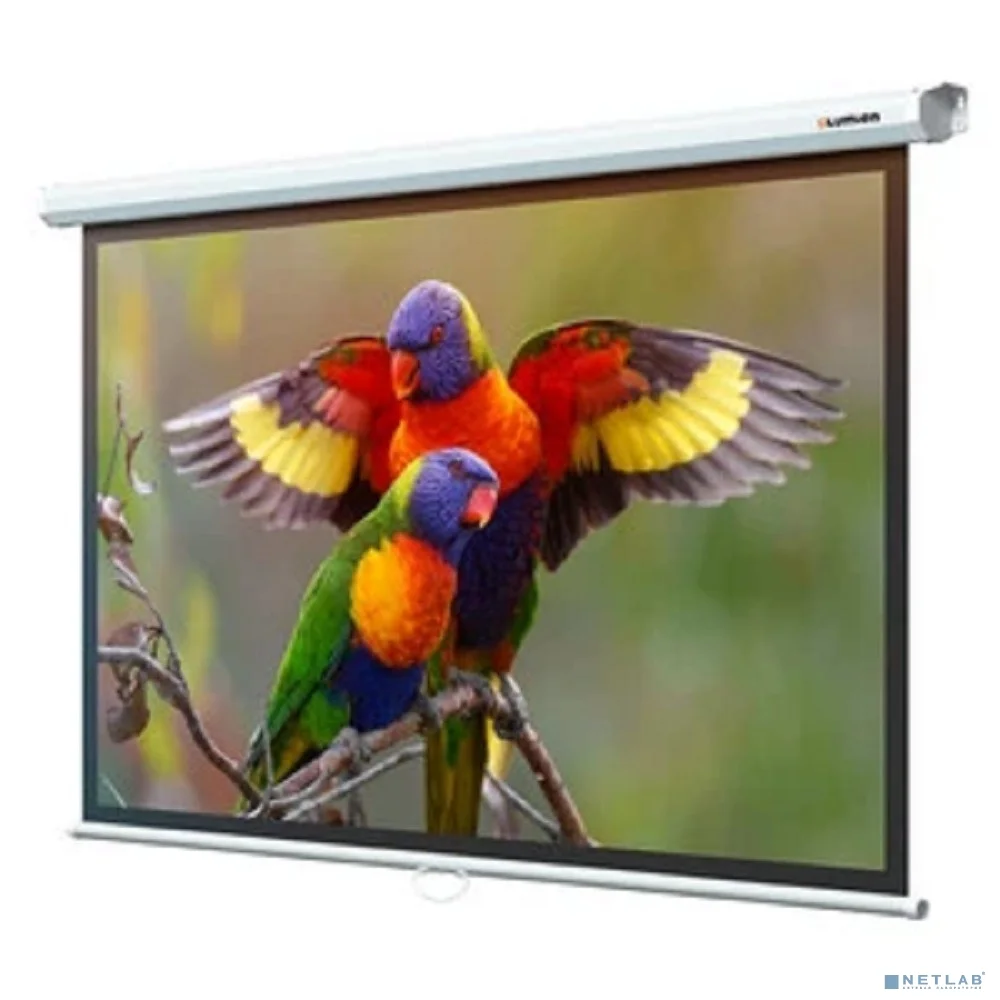 Настенный экран Lumien Eco Picture 153х203см (рабочая область 147х197 см) MW восьмигранный корпус, возможность потолочн./настенного крепления, уровень в комплекте, 4:3 (треугольная упаковка)