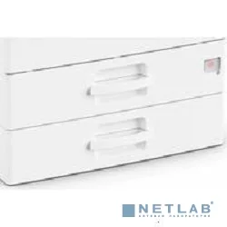 Ricoh Лоток для бумаги тип PB2040 (500x2) для Ricoh M2700/2701/IM2702 (на колёсиках, используется без тумбы) (418124)