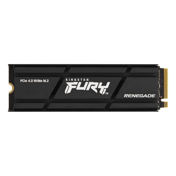 Kingston SFYRSK/1000G