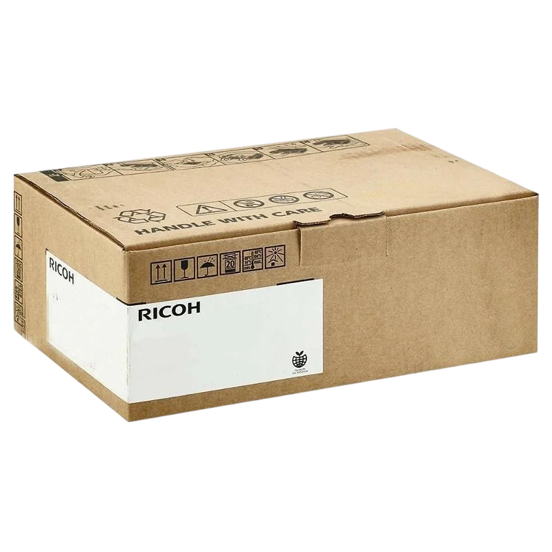 Ricoh D2236381