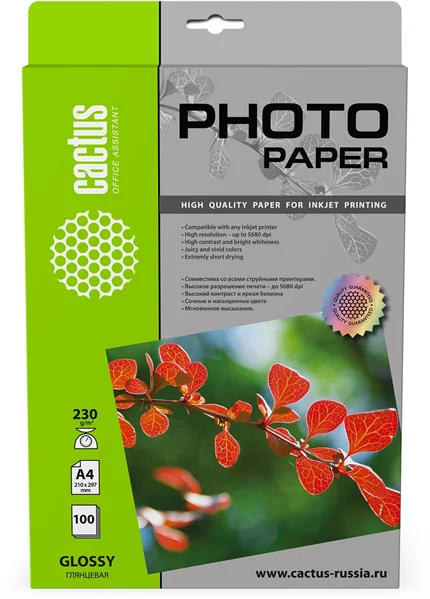 Cactus CS-GA4230100 Фотобумага глянцевая А4 230 г/м2 100 листов