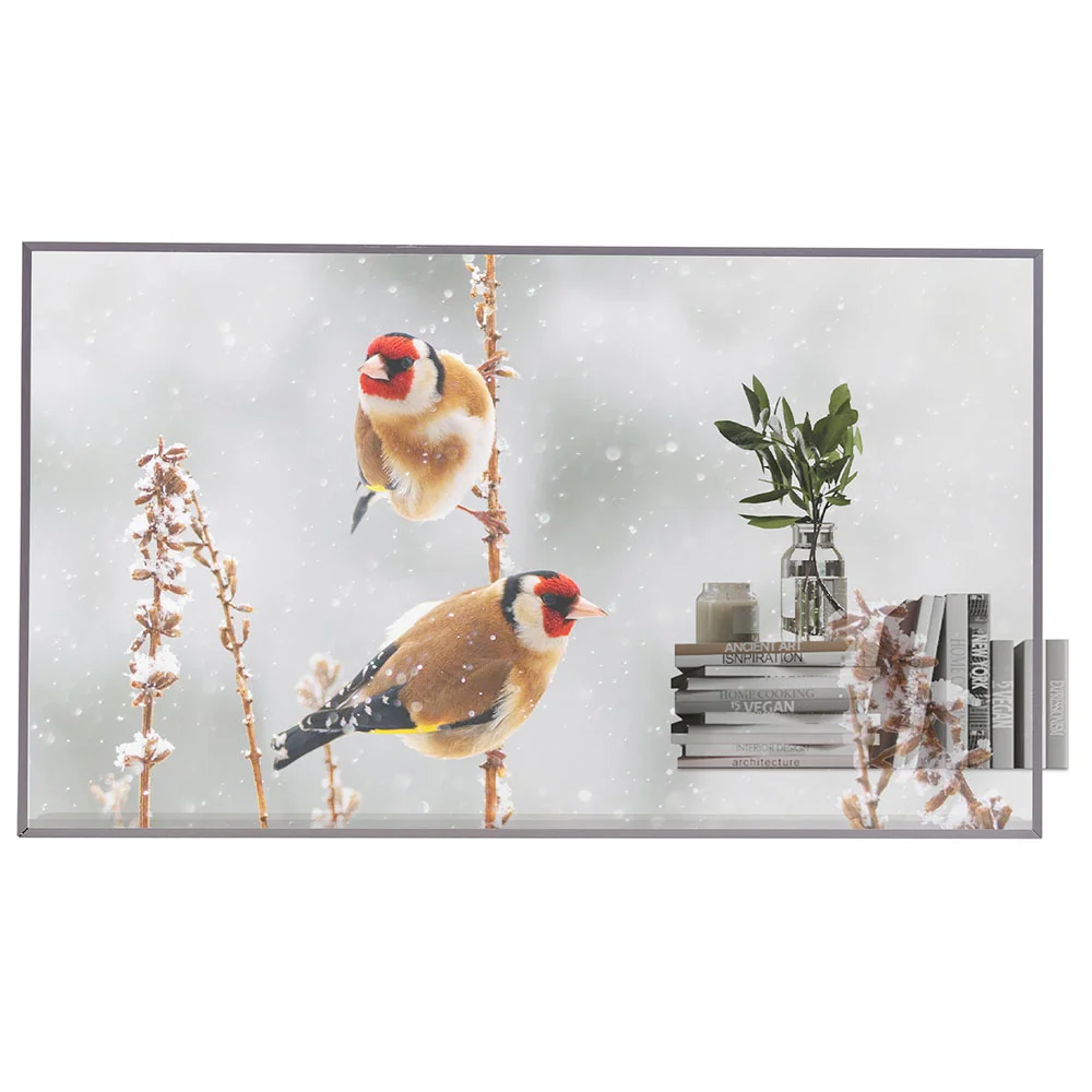 LG 55EW5P-M, Дисплей 55"