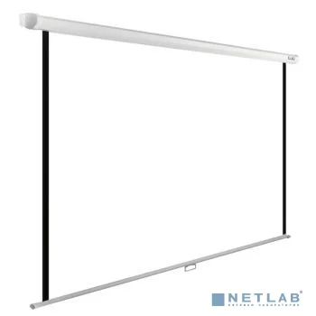Экран Cactus WallExpert CS-PSWE-220x220-WT 220x220 см 1:1 настенно-потолочный рулонный