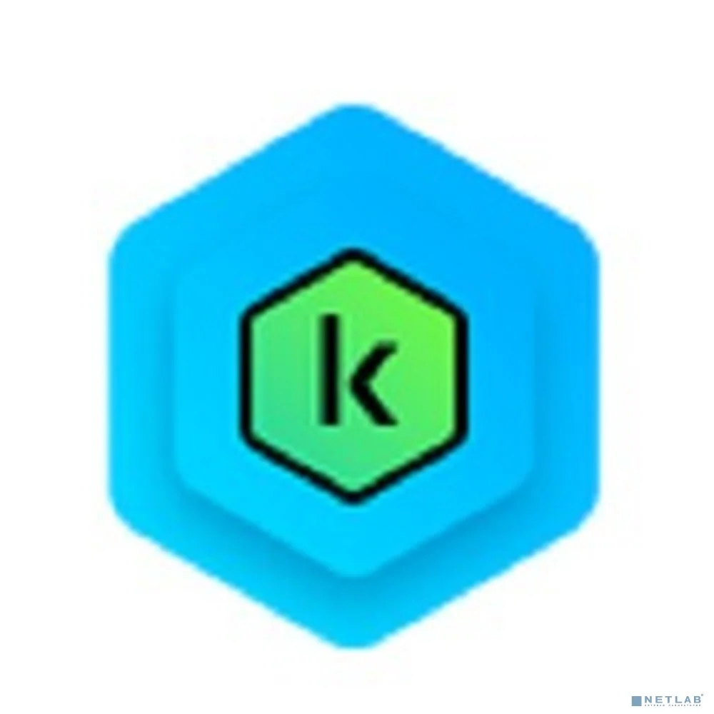 KL1041RDCFS Kaspersky Standard Russian Edition. 3-Device 1 year Base Download Pack - Лицензия