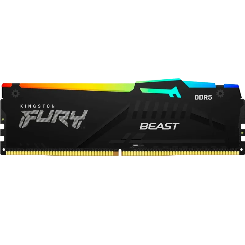 Kingston FURY Beast KF556C36BBEA-32
