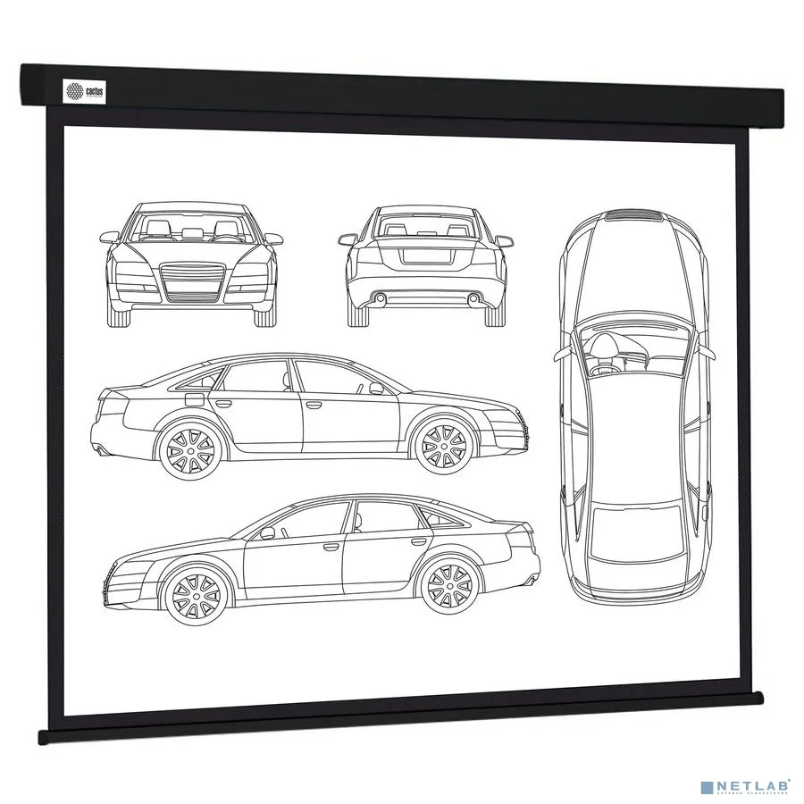 Экран Cactus Wallscreen CS-PSW-213X213-BK, 213х213 см, 1:1, настенно-потолочный черный