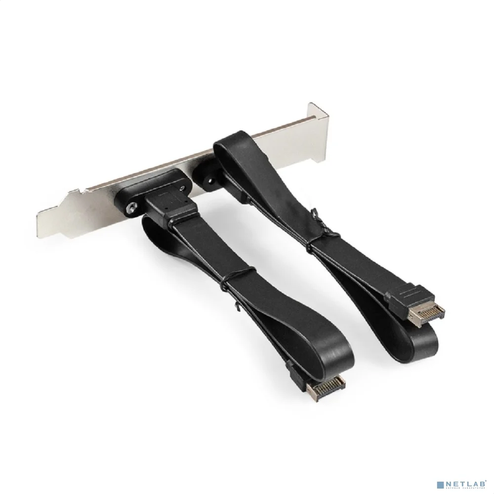 Exegate EX298297RUS Планка портов в корпус 2xType-C SuperSpeed+ ExeGate BrctUSB32E-2C (USB3.2 Gen2 2xType-E 20Pin Male --> 2xType-C USB 3.2 Gen 2, SuperSpeed+ скорость до 10 Гбит/с, кабель 30см)