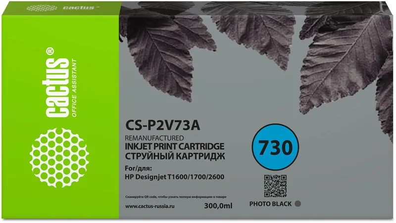 Cactus CS-P2V73A