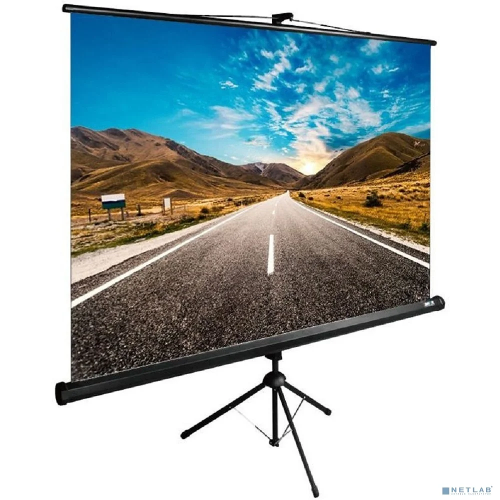 Экран Cactus TriExpert CS-PSTE-220x220-BK 220x220 см 1:1 напольный рулонный