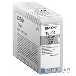 Epson C13T850900
